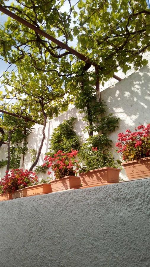 Milojka Apartment Senj  Exterior photo
